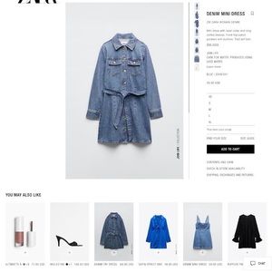 Zara Denim mini dress